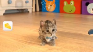 Мой Маленький Котёнок  Сборник ЛУЧШИХ СЕРИЙ  Мультик игра для детей