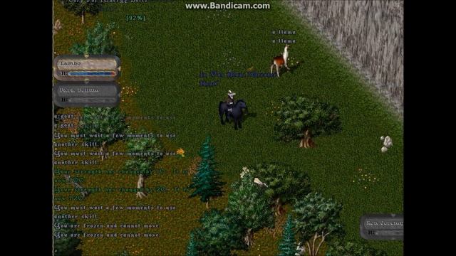 Ultima Online Second Age Pvp : 777 vs NC смотреть онлайн