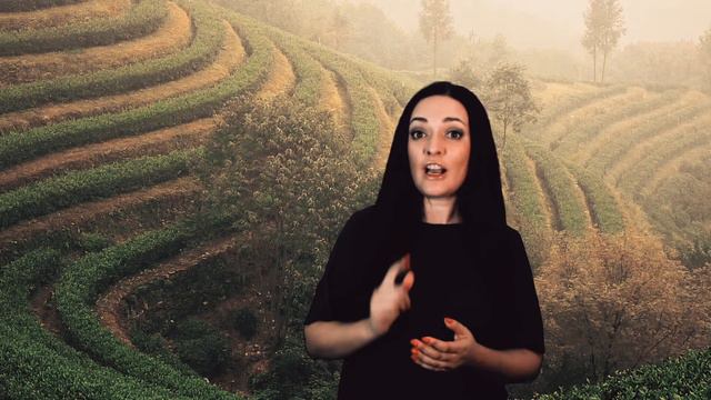 Vkus ChaYa Time4Tea смотреть онлайн