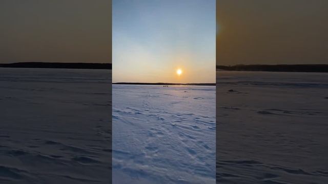 Мотособака своими руками.Лифан 20 л.с. смотреть онлайн