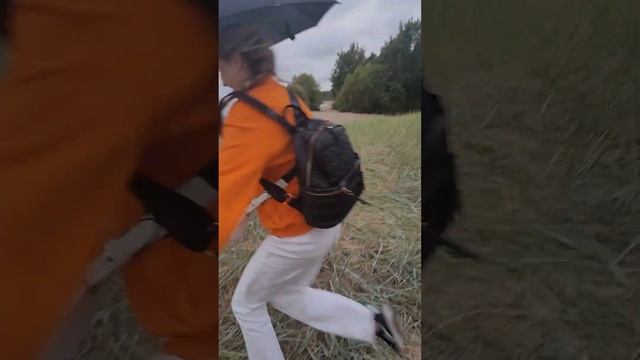 Кронштадт. Эко тропа "Западный Котлин" смотреть онлайн