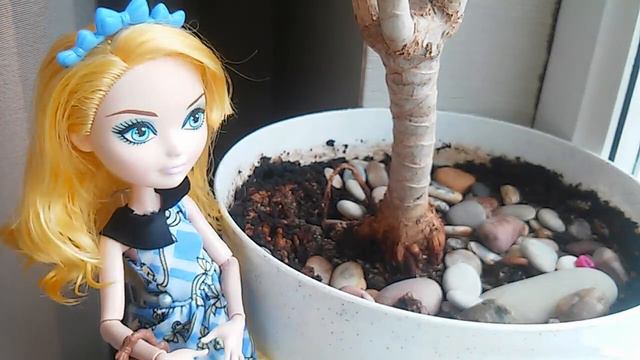 Stop Motion|°Проверка на плавность°|EAH| смотреть онлайн