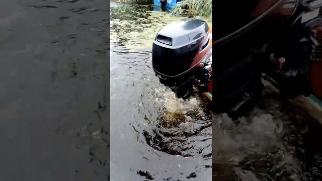 Работа лодочного мотора смотреть онлайн