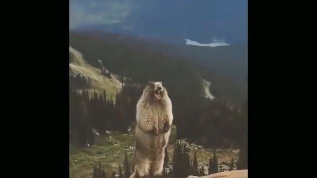 ААААААА! смотреть онлайн