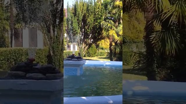 Park, Hotel Abaata, Gagra, Abchasien / парк, Отель Абаата, Абхазия. Город Гагра 1 смотреть онлайн