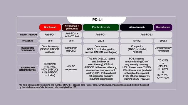Deep Insight Into Immuno-Oncology: Immunotherapy Pathways, Targets, and Biomarkers смотреть онлайн