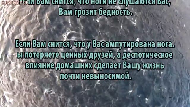 К чему снятся Ноги сонник, толкование сна смотреть онлайн