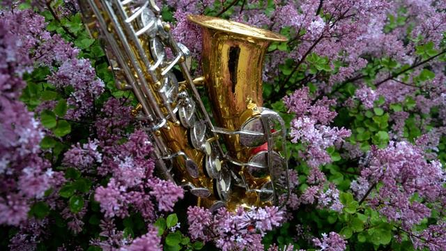 Romantic saxophone Paul Mauriat Orchestra (298) АК SAX MUSIC смотреть онлайн