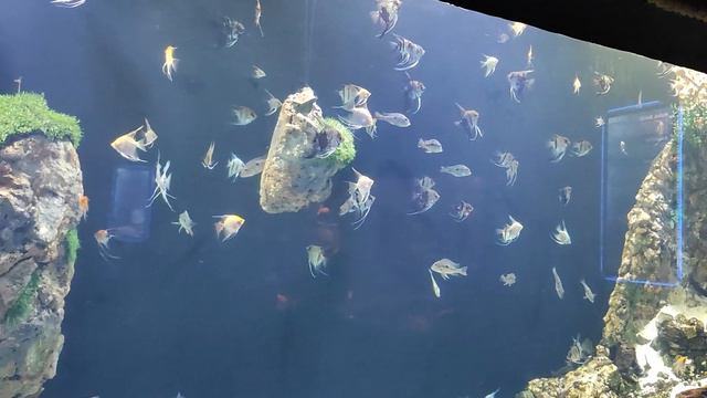 Незабываемая поездка в Турцию (Unforgettable trip to Turkey) смотреть онлайн