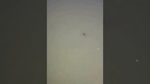 ПАУК ЗИМОЙ смотреть онлайн