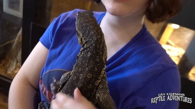 CLINT'S REPTILE ROOM GRAND OPENING! смотреть онлайн