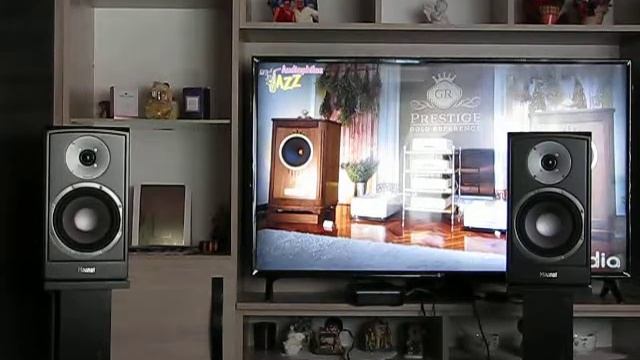 Magnat Vector 203 /2. смотреть онлайн