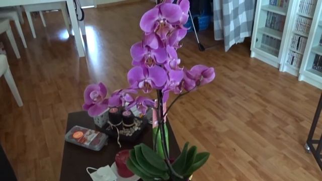 May 2020 vlog смотреть онлайн