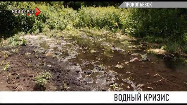 Огород на болоте смотреть онлайн