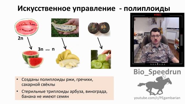 16. Биотехнологии (Speedrun общая биология 9-11 класс, ЕГЭ, ОГЭ 2021) смотреть онлайн