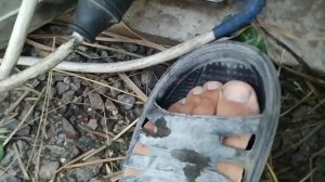 Ремонт глубинного вибратора Не включается