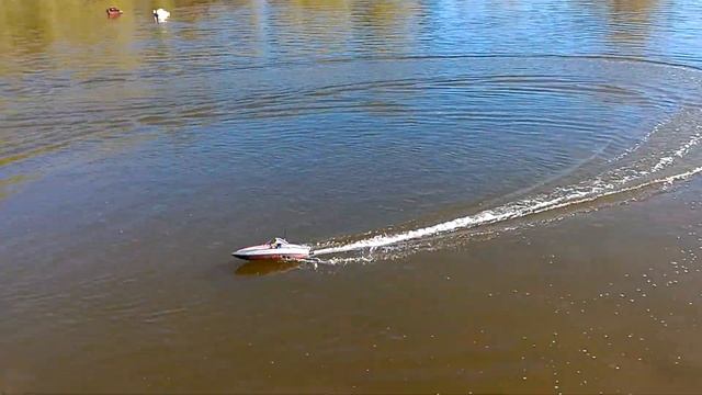 Bob's Proboat River Jetboat #2