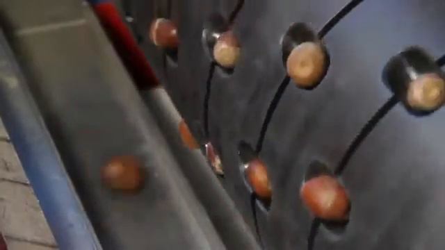 Бета-барабан посева линия смотреть онлайн