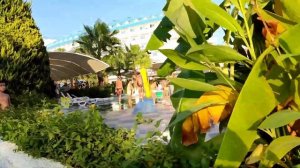 Crystal Admiral Resort Suites & Spa Турция октябрь шведский стол