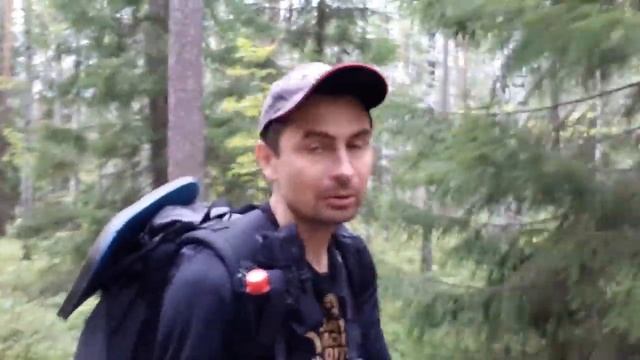 Как защититься от медведя в лесу - носимые и разрешенные законом средства защиты от диких зверей смотреть онлайн
