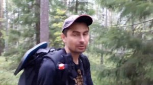 Как защититься от медведя в лесу - носимые и разрешенные законом средства защиты от диких зверей