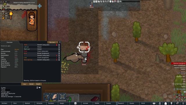 Can we survive as an old man in Medieval Expanded/Overhauled in Rimworld? (1) смотреть онлайн