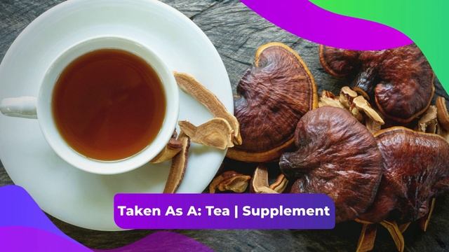 Mushroom Minute - Red Reishi