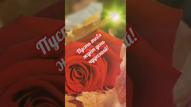 С добрым осенним утром ????? смотреть онлайн