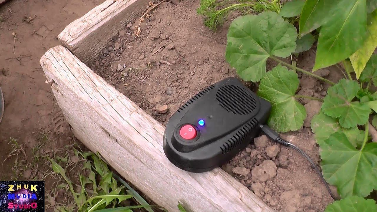 Электрокот отпугиватель грызунов смотреть онлайн