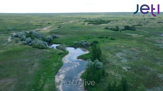 Шыңғырлау ауданы смотреть онлайн