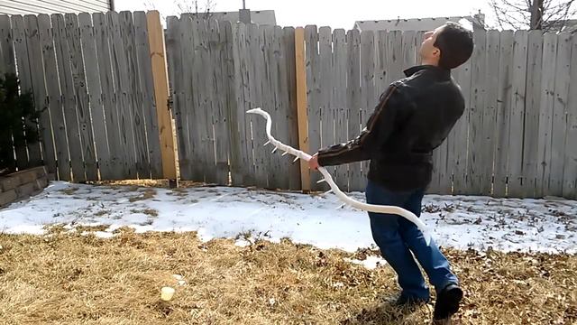 Painting the Dragon-Bone Bow смотреть онлайн