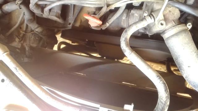 Спортивные мастерства