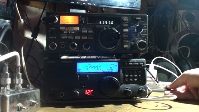 Сравнение приема Icom ic-730 и Yaesu system 600 смотреть онлайн