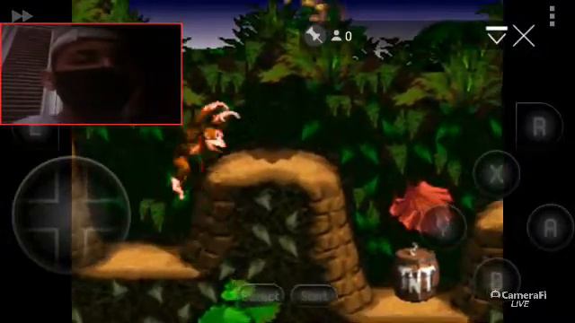 DONK KONG PARTE 1 смотреть онлайн