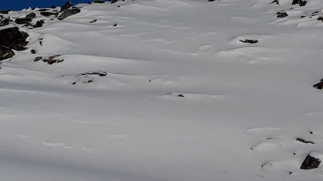 Белизна снежных гор. смотреть онлайн