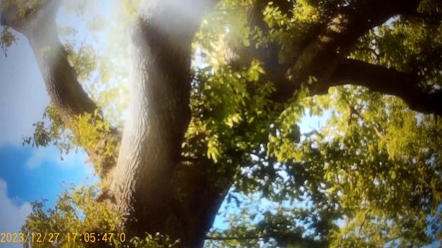 Сафар и Уралочка - она заторможенная , а он он делает вид , что не замечает .Больному прикинутся . смотреть онлайн