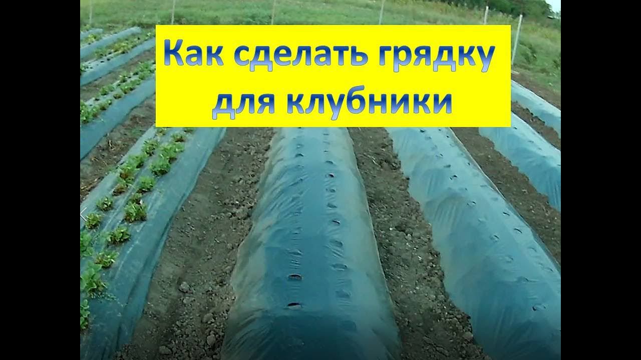 Высокие грядки для клубники. Укрытие пленкой. смотреть онлайн