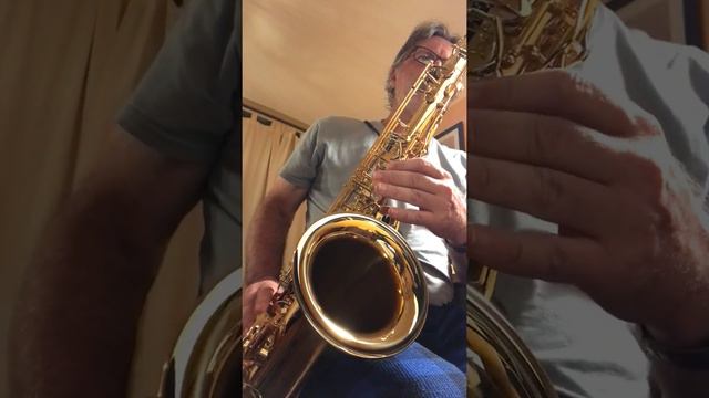 J.S. Bach - Sonata IV, Part II Played on Yanagisawa TC 180 Mouthpiece (Tenor Sax) смотреть онлайн
