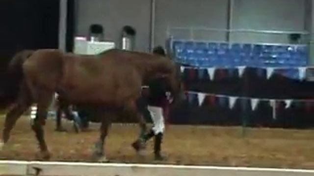 Эквирос 2010 (3) смотреть онлайн