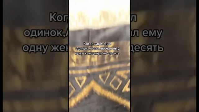 «О Адам! Поселись в Раю вместе со своей супругой.» #ислам #исламтв #вера #религия #мусульмане #isla смотреть онлайн