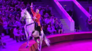 Человек-герой Виталий Смолянец и его шоу Империя львиц в Кисловодском цирке