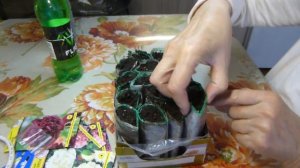 ПИОНОВИДНЫЙ МАК, НЕОБЫЧНЫЙ СПОСОБ  ПРОРАЩИВАНИЯ И ПОСАДКИ. КАК ЛЕГКО И БЫСТРО ВЫРАСТИТЬ.