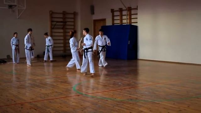 Taekwon-do Показательные выступления смотреть онлайн