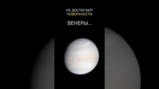 Дожди на Венере смотреть онлайн