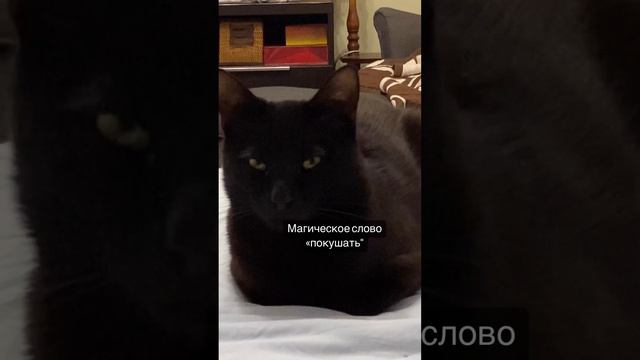 #магическое слово смотреть онлайн