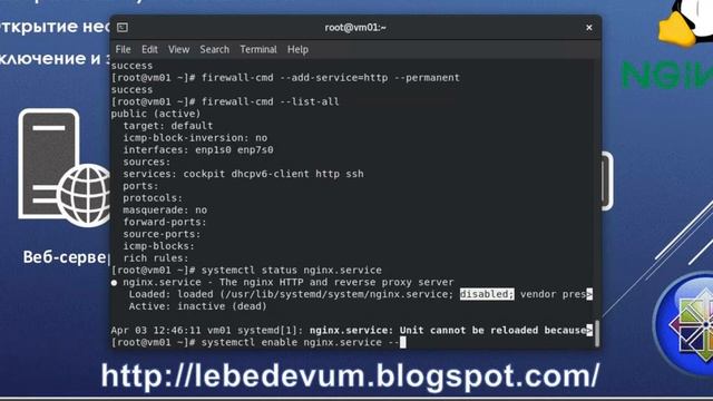 Установка NGINX в CentOS 8 смотреть онлайн
