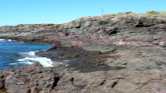 Аквариум в скалах - 3 смотреть онлайн