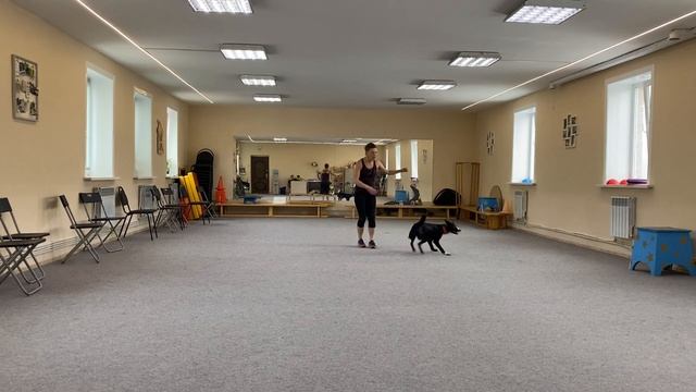 Танцы с собаками Dog dance Тимошина Светлана & Брина Танец "Дикая река". Тренировка. 08.12.2021г смотреть онлайн