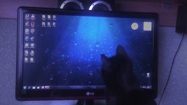 КОШКА ЛЮБИТ ИГРАТЬ С КОМПЬЮТЕРОМ‼️‼️‼️ HAPPY NEW YEAR ❗️❗️❗️ смотреть онлайн