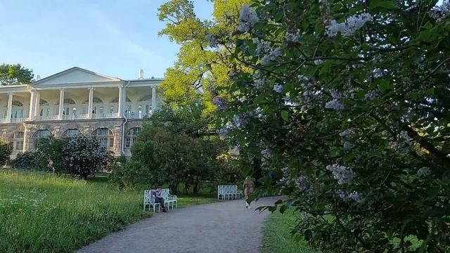 Воспоминания о лете #Пушкин # Екатерининский смотреть онлайн